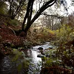 Tiny House Nature 12 - Tiny Village Harz * Osterode am Harz