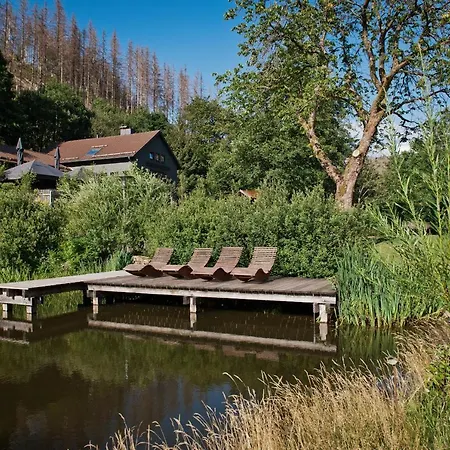 Tiny House Nature 12 - Tiny Village Harz * Osterode am Harz