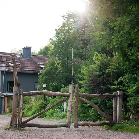 Tiny House Nature 12 - Tiny Village Harz Holiday home Osterode am Harz