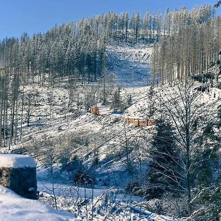 Feriehus Tiny House Nature 12 - Tiny Village Harz Osterode am Harz