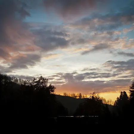 Tiny House Nature 12 - Tiny Village Harz Holiday home