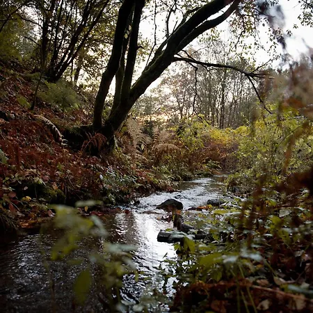 Tiny House Nature 12 - Tiny Village Harz * Osterode am Harz