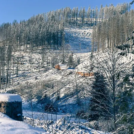 Tiny House Nature 12 - Tiny Village Harz